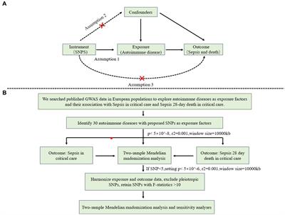 Genetic associations between autoimmune diseases and the risks of severe sepsis and 28-day mortality: a two-sample Mendelian randomization study